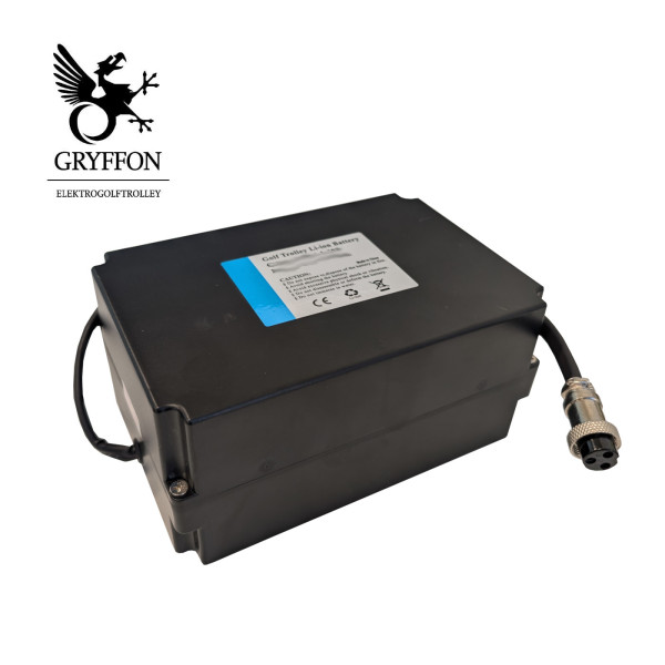 Ersatzakku Lithium für Serie BASIC, 12 Volt, 20.8 Ah, für Komforthalterung